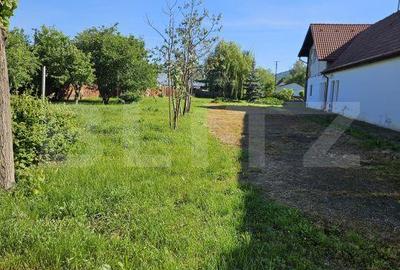 Casă cu Teren 2828 Mp în Daneș - 2