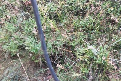 Oportunitate rara de a investi intr-un teren in Fundata-Br - 2