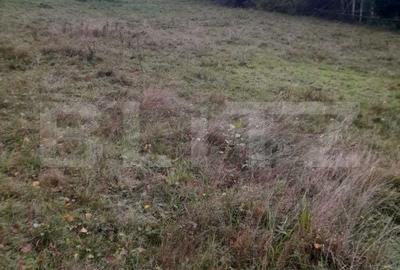 Spațiu comercial, în Central