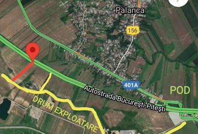 Teren de 5700 mp, în Palanca