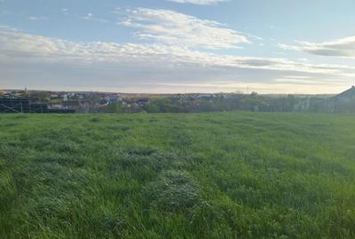 Casă cu 3 camere în Rontău - 7