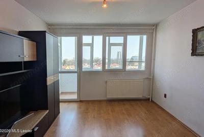 Apartament cu 2 camere decomandat, mobilat în Viilor - 19