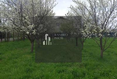 Teren de 2000 mp, în Lilieci - 4