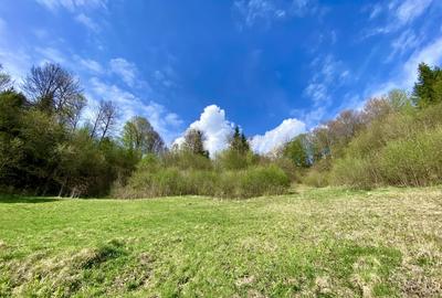 Teren panoramic insorit, utilitati, panta mica si padure, turism sau vacanta - 17