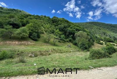 Teren intravilan 8500mp Rasinari - 2