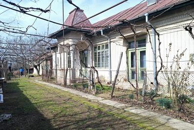 Casa 3 camere - Popanzalesti - 4