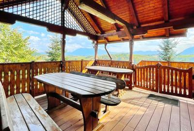 Complex de 3 case pe 18000 mp teren - 53