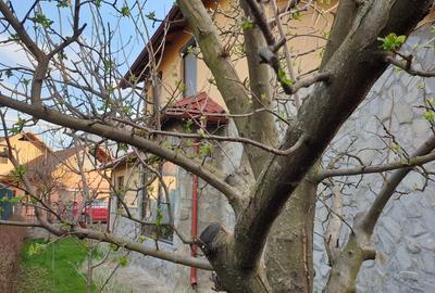 VILĂ SUPERBĂ INDEPENDENTĂ P+1E+M, 260mpu, LEMN, MILITARI CHIAJNA SALCÂMILOR, - 28