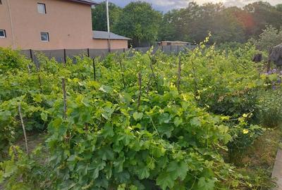 Casă cu 3 camere în Chiselet - 2