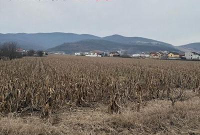 Teren de 4088 mp, în Micești