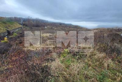 INVESTITIE TEREN  I  VAD COMERCIAL  I SUCEAVA  I  DRUM EUROPEAN 20ari - 4