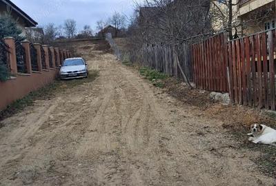 Teren de 1350 mp, în Dorobanț - 5