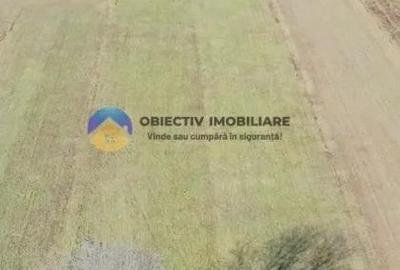 TEREN intravilan 4488 mp - PANGARA?I - 4