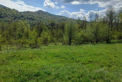 Spațiu comercial, în Hârja - 5