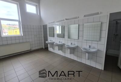 Spatii de inchiriat â Depozitare | Productie | Birouri Cisnadie - 11