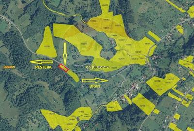 Teren extravilan, 2000 mp, Sat Pestera (com Moieciu) - 11