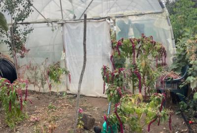 Casa 4 camere, 790 mp teren, zona Bariera Vilcii - 14