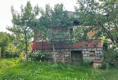 De vanzare GOSPODARIE in BUDESTI/ Maramures - 2