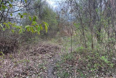 Breaza - str.Plaiului, Coasta Berzei nr.54, teren 1400 mp - 6