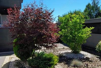 Casă cu 5 camere cu Teren 333 Mp în Central - 11