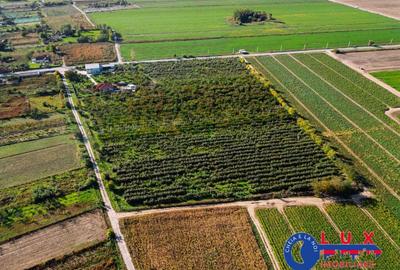 Teren de 44999 mp, în Sabangia - 31