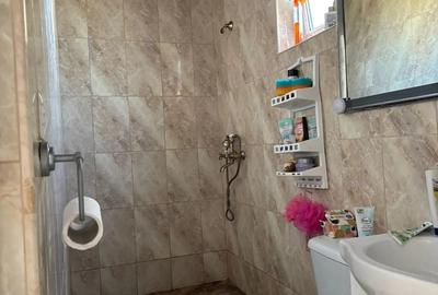 Primesc in gazda intr-o camera la vila din Vi?ani - 1