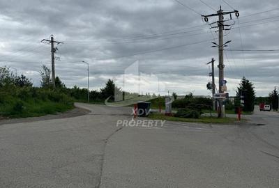 Teren Construcții intravilan de 12631 mp, în Șelimbăr - 13