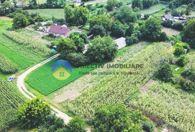 TEREN intravilan GIROV 4133 mp - 12