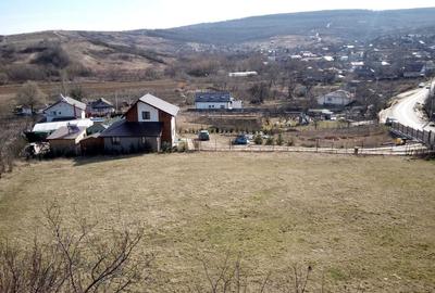 Spațiu comercial, în Goruni - 2