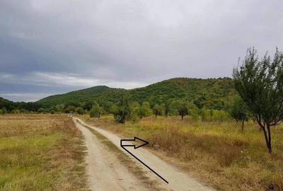 Teren de 2500 mp, în Balotești - 2
