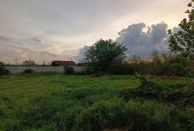 Teren în Alfa - 2