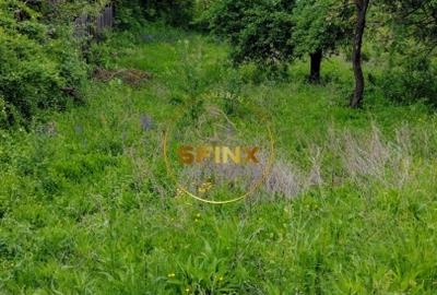 Teren intravilan de vanzare in Breaza Strada Primaverii - 4