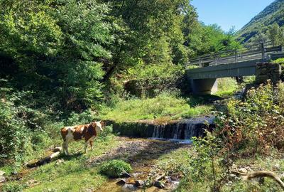 Spațiu comercial, în Central - 4