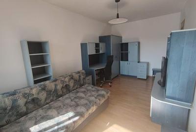 Garsonieră semidecomandată în Dosu Bricii - 2