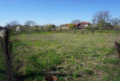 Teren agricol intravilan de 398 mp, în Malu Mare - 6