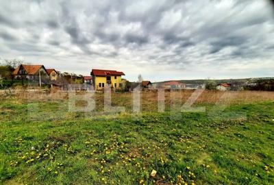 Teren intravilan 382mp, cu Puz aprobat prin HCL, in zona Bor - 4