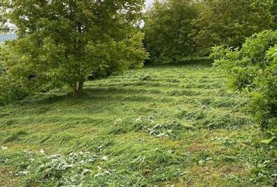 Teren de 2700 mp, în Baciu - 2