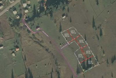 Teren de 7869 mp, în Dorna-Arini - 1