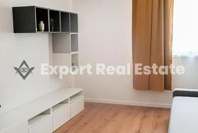 Apartament cu 2 camere semidecomandat în Tunari - 8