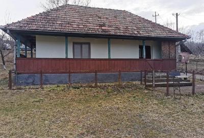 Casă cu Teren 2800 Mp în Petea - 1