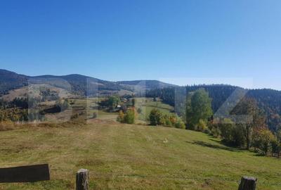 Super Oferta 5.2 euro/mp. Teren de vanzare in zona Arieseni - 11