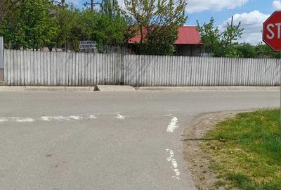 Casă cu 3 camere în Valea Grecului - 2