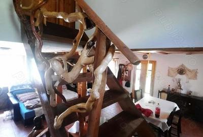 Casuta de vacanta pe Clisura Dunarii in zona Berzasca-Liubcova, teren 1600mp, 2 fronturi - 6