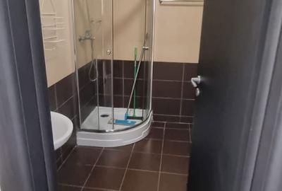 Garsonieră în Chiajna - 7
