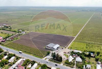 Oportunitate vie 54 ha la DN E85 - 15