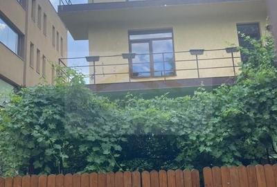 Birou, 995 mp în Iancului