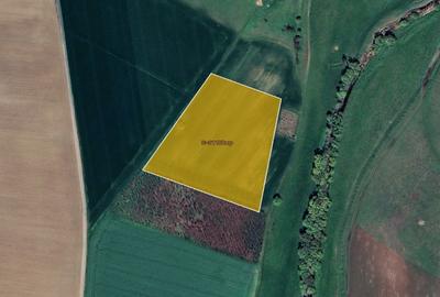 Teren agricol extravilan de 21100 mp, în Orțișoara - 1