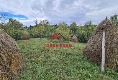 Casă cu Teren 1671 Mp în Șotrile - 3