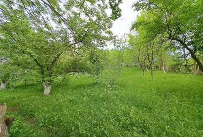 Teren de 1000 mp, în Ghioșești - 3