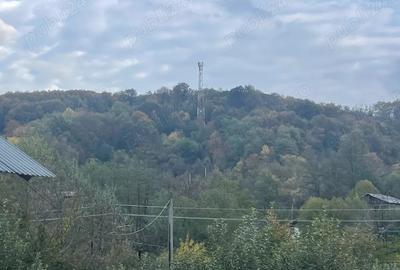 Casa cu teren de vanzare in comuna Botesti, judetul Arges - 5
